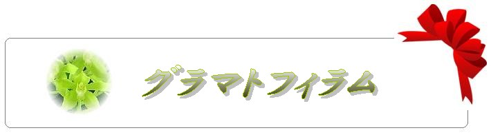 グラマトフィラム