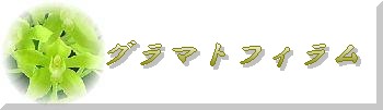 グラマトフィラム