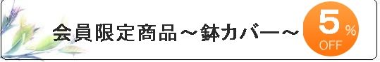会員限定鉢カバー