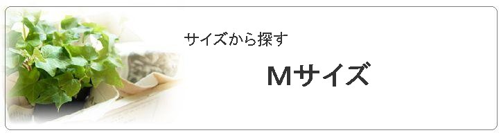 Ｍサイズ