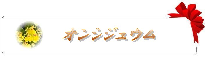 オンシジュウム