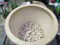 観葉植物を陶器鉢カバーに植替えます