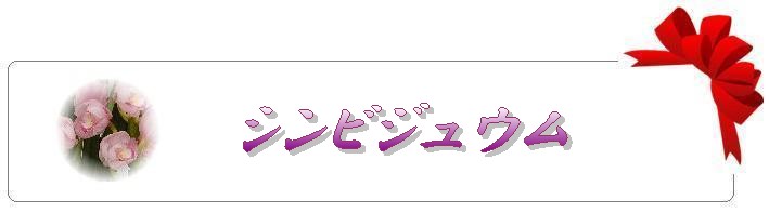 シンビジュウム